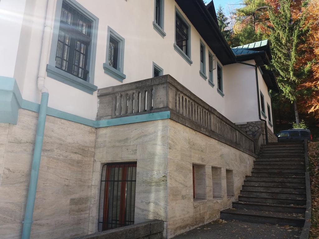 Hotel Tantzi Sinaia Buitenkant foto