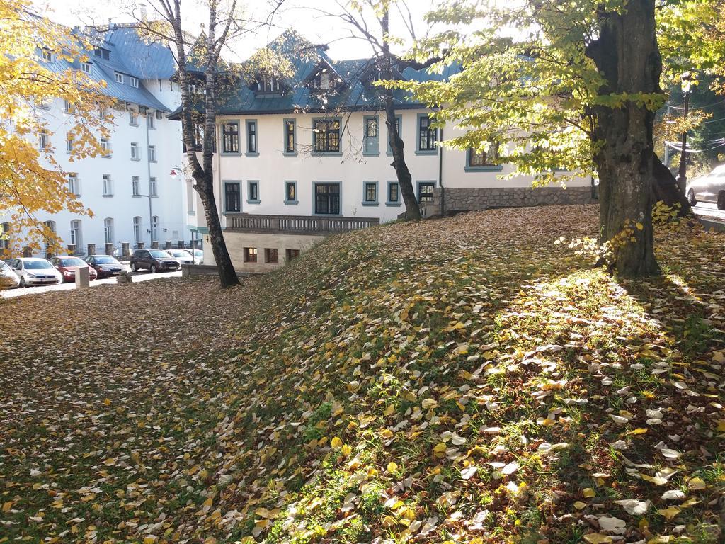 Hotel Tantzi Sinaia Buitenkant foto