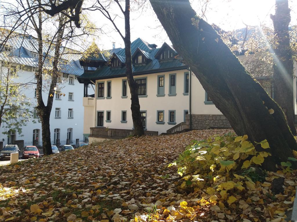Hotel Tantzi Sinaia Buitenkant foto